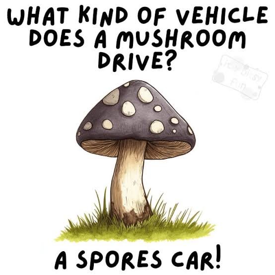 Mushroom Puns: Why These Fungi Jokes Never Get Old
